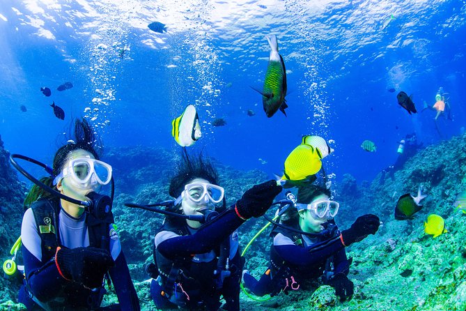 Blue Cave Introductory Dive–Private Guide, Boat Tour&Free Photos - Reaching the Blue Cave by boat