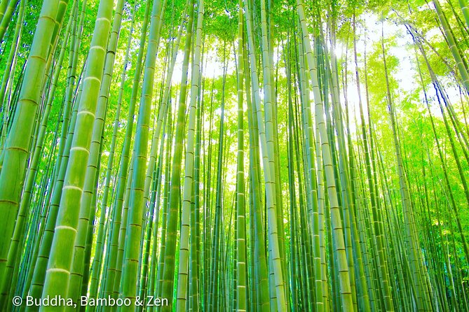 Buddha, Bamboo & Zen - Bespoke Kamakura Private Walking Tours - Kotoku-in and the Great Buddha of Kamakura