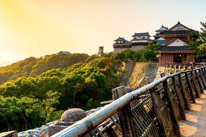 Capitals of Japan end Kyoto GO by Europamundo - 8-Day Tour Review - Six details to weigh before booking