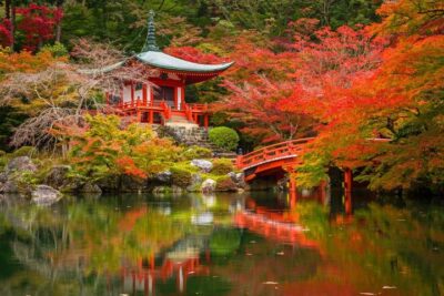 Capitals of Japan end Kyoto GO 8-Day Tour by Europamundo