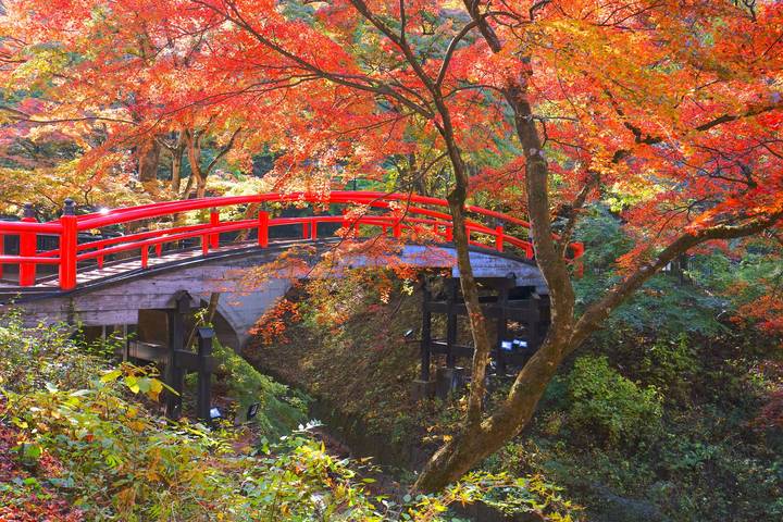 Central Japan by Europamundo - 9-Day Tour from Tokyo Review - Fuji country and your first ryokan