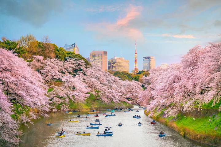Central Japan End Kyoto by Europamundo - 6-Day Tour Review - Day 2: Tokyo’s Temples, Crossing and Skytree