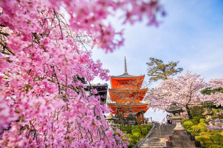 Central Japan End Kyoto by Europamundo - 6-Day Tour Review - Day 5: Kyoto’s Temples, Bamboo and Shrine Gates