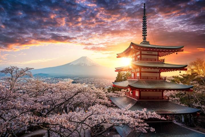 Central Japan Express by Europamundo - 7-Day Tour from Tokyo Review - FAQ