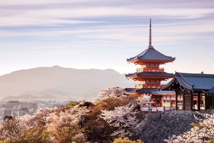 Central Japan Express by Europamundo - 7-Day Tour from Tokyo Review - From Iyashi no Sato to Kyoto