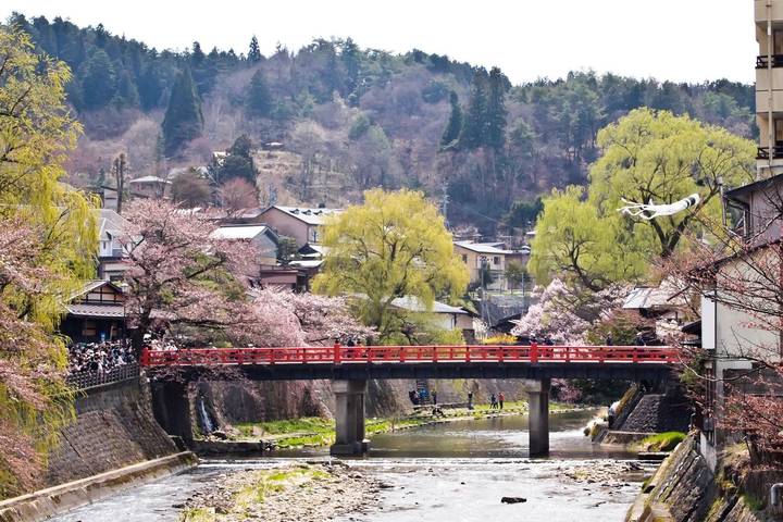 Cherry Blossom Festival - 13 days by On The Go Tours: Tour from Tokyo Review - A spring route with plenty of variety