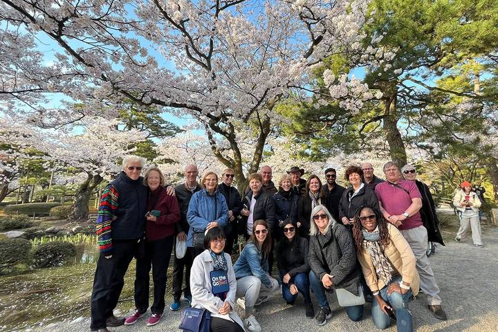 Cherry Blossom Festival - 13 days by On The Go Tours: Tour from Tokyo Review - Matsumoto and Takayama: castles, wasabi and old streets