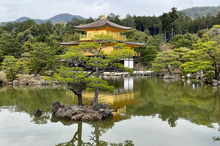 Cherry Blossom Festival - 13 days by On The Go Tours: Tour from Tokyo Review - Tokyo: gardens, shrines and the Shibuya scramble