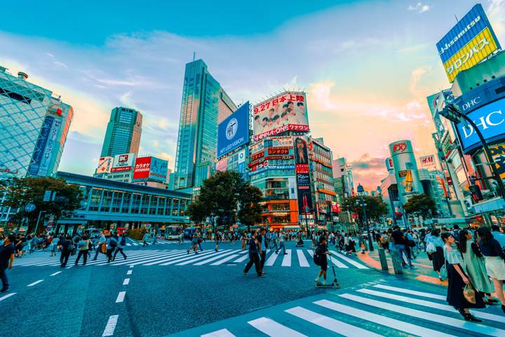Cherry Blossom & Garden by MW Tours - 13-Day Tokyo to Osaka Tour Review - Who should book this spring route?