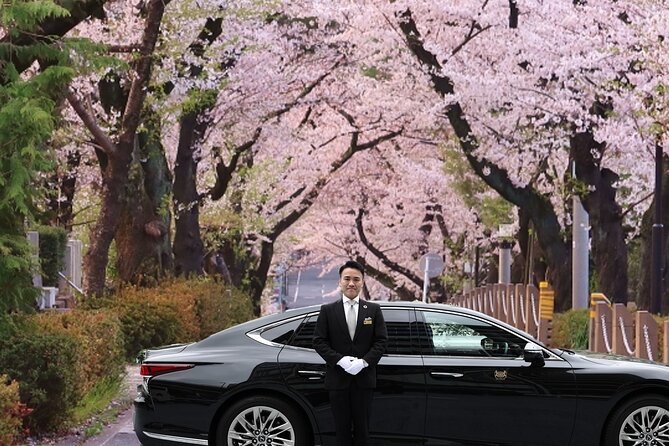 Cherry Blossom Private Tour - What makes this Tokyo blossom tour worth considering