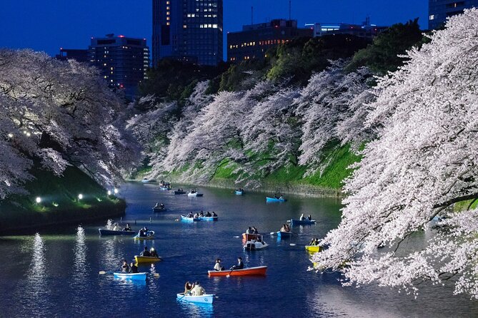 Cherry Blossom Private Tour - The $559 group price and who gets the best value