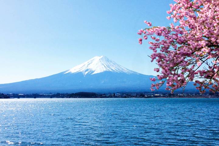 Cherry Blossoms of Japan Tour (Tailor-Made Private) by Odynovo - 14 Days - Key points to know before you book
