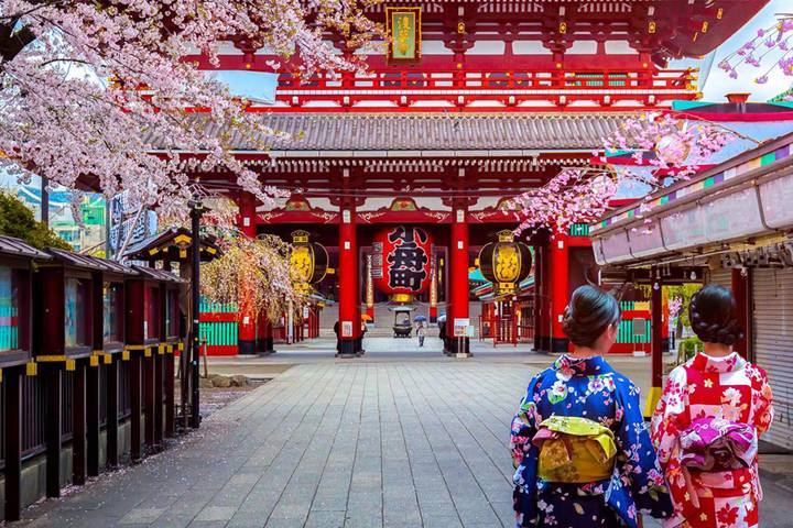 Cherry Blossoms of Japan Tour (Tailor-Made Private) by Odynovo - 14 Days - Shirakawa-go and Kanazawa’s garden