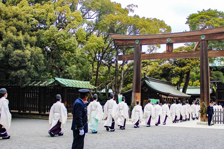 Cherry Blossoms of Japan Tour (Tailor-Made Private) by Odynovo - 14 Days - Is this the right Japan spring tour for you?