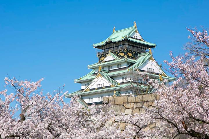 Cherry Blossoms of Japan Tour (Tailor-Made Private) by Odynovo - 14 Days - Fuji views and a Hakone hot spring stay