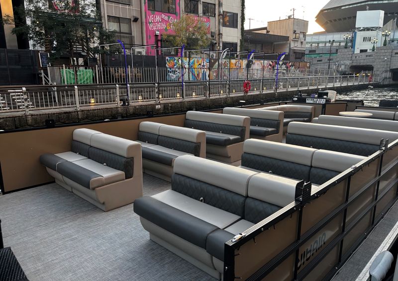 City Cruise Experience in Osaka - Who will get the most from this cruise
