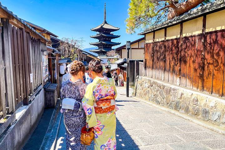 Classic 6 Days Japan Family Tour with 4-star Hotels by Agate Travel Review - What the private format does, and does not, mean