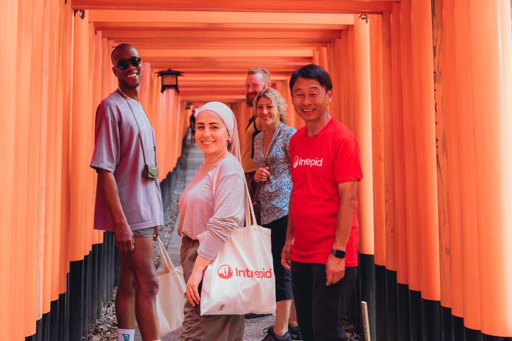 Classic Japan by Intrepid Travel - 11-Day Kyoto to Tokyo Tour Review - Accommodation, meals and the value of the price