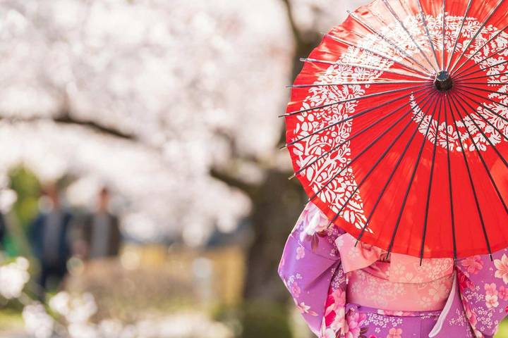 Classic Japan by Trafalgar - 11-Day Narita to Osaka Tour Review - At a glance: what this Japan tour offers