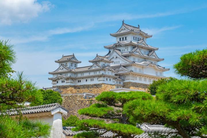 Classic Japan (from Tokyo to Osaka) by Intrepid Travel - 11-Day Tour Review - Who will get the most from this trip