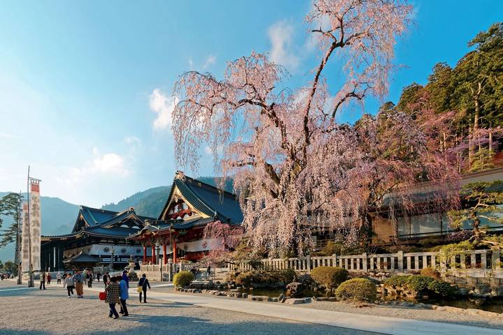 Classic Japan (from Tokyo to Osaka) by Intrepid Travel - 11-Day Tour Review - Osaka ends the trip with street food and neon