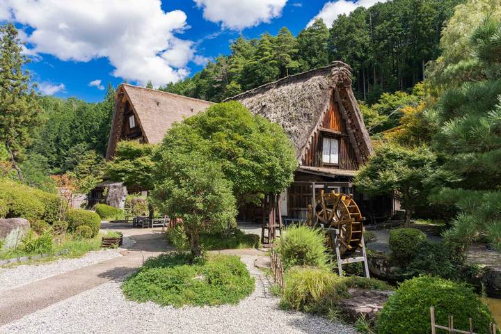 Classic Japan (from Tokyo to Osaka) by Intrepid Travel - 11-Day Tour Review - What the price includes, and what it does not