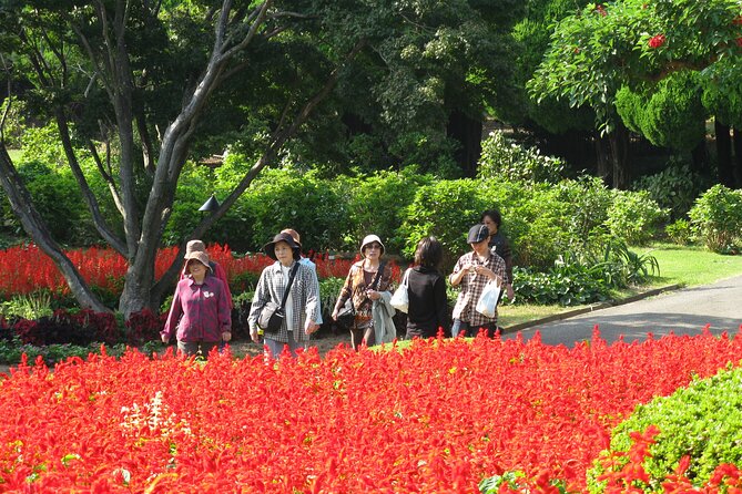 Colors of Japan, Fukuoka Nokonoshima Island Park & Wagyu BBQ - Key points to know before booking