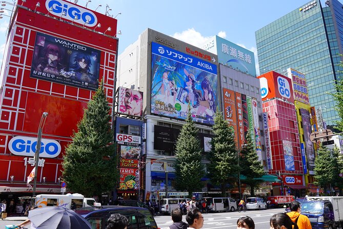Create Your Akihabara Tour! Anime, Games & Local Tips - Who will enjoy this tour most