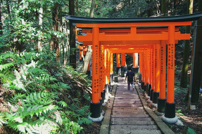 Crowd-Free Kyoto: Fushimi Inari, Nijo Castle & Kinkaku-ji - What the private guide adds