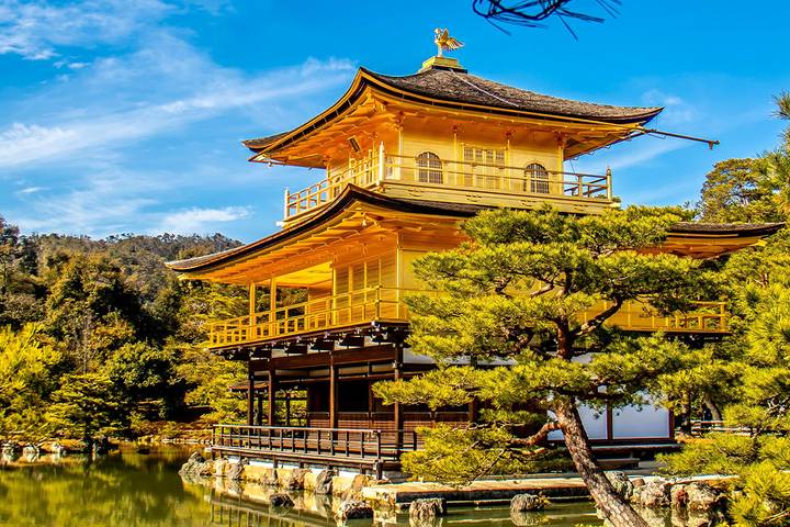 Cultural Treasures of Japan (Tokyo to Kyoto, 2026) by Collette - 14-Day Tour - Kyoto: torii gates, castle rooms and a tea ceremony