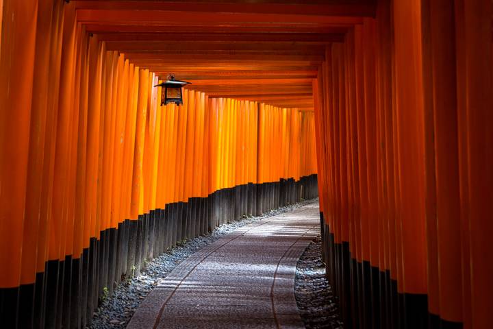 Cultural Treasures of Japan (Tokyo to Kyoto, 2027) by Collette - 14-Day Tour - At a glance