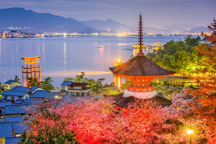 Cultural Treasures of Japan (Tokyo to Kyoto, 2027) by Collette - 14-Day Tour - Does $6,599 offer good value?