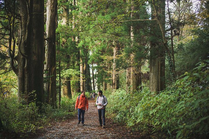 Custom Private Tour in Hakone with a Certified Local Guide - Lake Ashi and the 30-minute sightseeing cruise