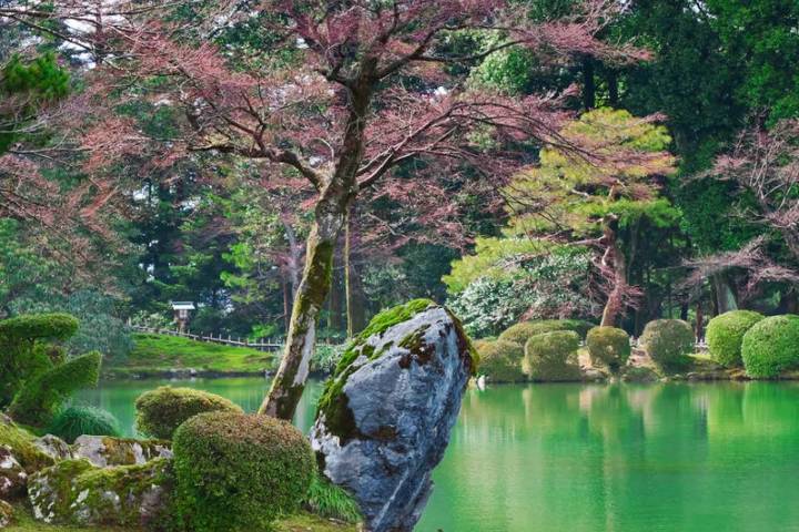 Cycle Japan by Explore! - 13-Day Kyoto to Tokyo Tour Review - A cycling route that trades big-city time for local roads