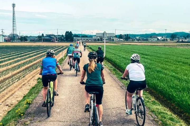 Cycle Japan by Explore! - 13-Day Kyoto to Tokyo Tour Review - Who should book this Japan cycling tour?