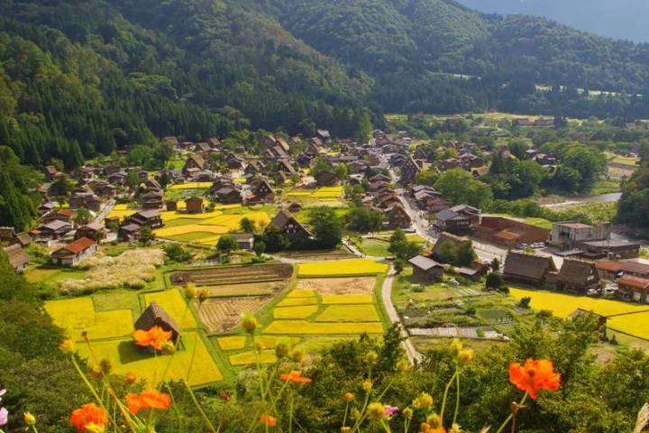 Cycle Japan by Explore! - 13-Day Kyoto to Tokyo Tour Review - Kyoto’s temples make a good first ride