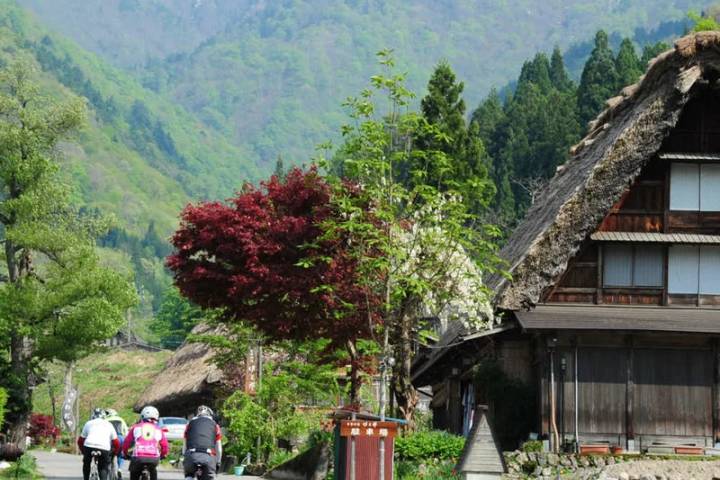 Cycle Japan by Explore! - 13-Day Kyoto to Tokyo Tour Review - Sado Island rewards the ferry crossing