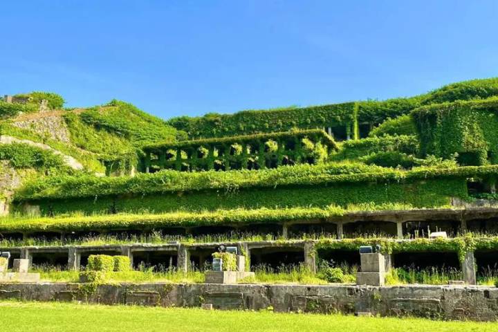 Cycle Japan by Explore! - 13-Day Kyoto to Tokyo Tour Review - Tokyo is a free day, not a second guided tour
