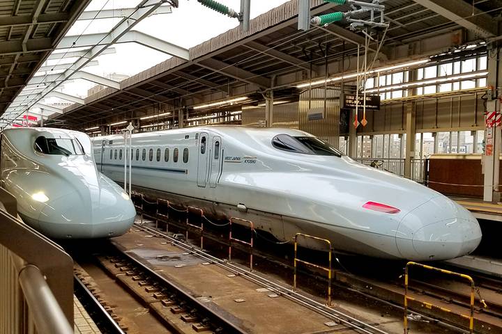 Cycle Japan by Intrepid Travel - 11-Day Kyoto to Tokyo Tour Review - Kyoto by bike, from bamboo paths to Gion
