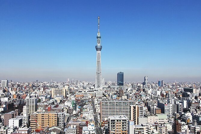 Day Private City Tour of Tokyo with English speaking driver - Why a private car helps in Tokyo