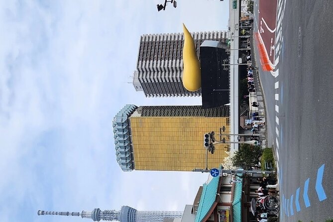 Day Private City Tour of Tokyo with English speaking driver - Tokyo Skytree and the cost of the view