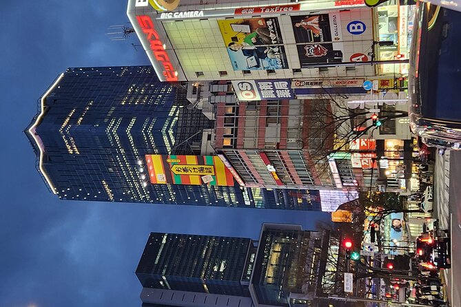 Day Private City Tour of Tokyo with English speaking driver - Two hours around Takeshita Street