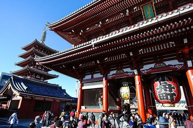 Day Private City Tour of Tokyo with English speaking driver - Tsukiji for a quick look at Tokyo’s food culture