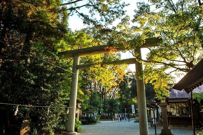 Day Tour to Miyazaki Takachiho Gorge & Shrine depart from Fukuoka - Kamishikimi Kumanoimasu Shrine: a quiet start among cedar trees
