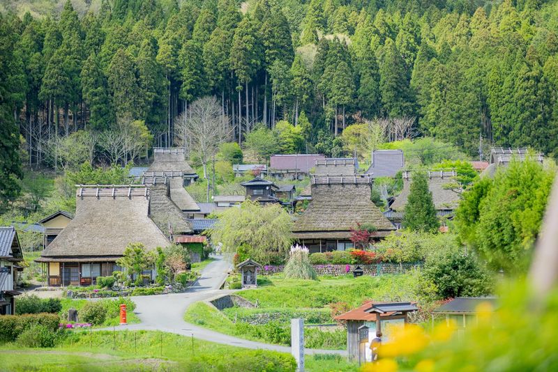 Day Trip to Amanohashidate & Ine no Funaya & Miyama Thatched Village in the Sea of Kyoto (Departure from Osaka or Kyoto) - What the schedule means for your day