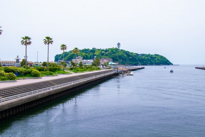 Day Trip to Kamakura & Enoshima: Shrines, Seaside, Temples & Tea - What the $167.36 price really covers