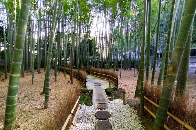 Day Trip to Kamakura & Enoshima: Shrines, Seaside, Temples & Tea - The morning train from Shinjuku to Kamakura