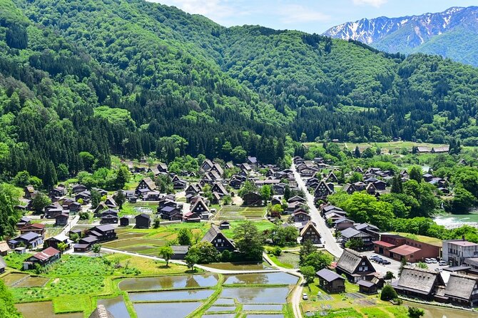 Departing from Takayama [Regular sightseeing bus] World Heritage Sites Shirakawago and Gokayama Ainokura - Key points to know before you book