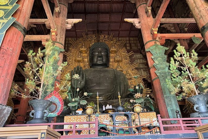Discover Ancient Nara: Private Car Tour from Kyoto or Osaka - Naramachi, lunch, and the old wooden streets