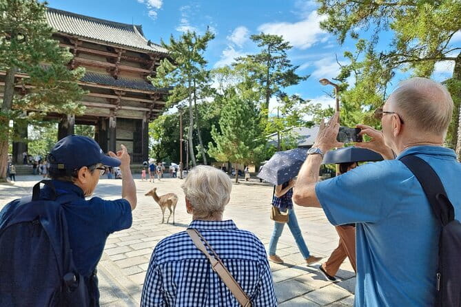 Discover Ancient Nara: Private Car Tour from Kyoto or Osaka - Kasuga Taisha and its ancient forest setting